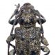 Aegomorphus 800.jpg