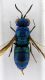 DSCF2951.JPG