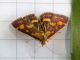 Pyrausta_purpuralis_3.jpg