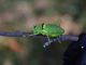 DSC_1668.JPG