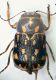 Pachy03 4.7mm  3.VII.2012.JPG