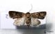 2012Aug27_0628.jpg