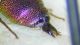 DSCF3059.JPG