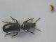 Comb0091_13_renamed_25427.jpg