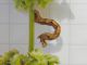 Timandra_griseata _larva.jpg