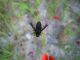 DSCN5742.JPG