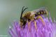 DSC_3482pbase.jpg