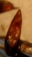 DSC02552.JPG
