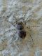 SME Nord 11.VI.2012 035a.jpg