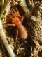 S. Nicolo 8.IX..2012 052a.jpg