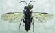 DSCN9899 - Copia.JPG
