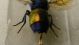 DSCF3119.JPG