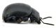 Comb0310_17jcr.jpg