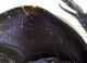 Comb0327_06jcr.jpg