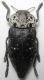 DSCN0659 - Copia.JPG