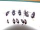 DSCF5816.JPG