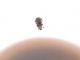 DSCF5886.JPG