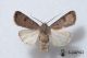 2012Sep27_0865.jpg