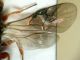 DSCN2266.JPG