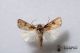 2012Sep27_0873.jpg