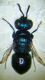 DSCF3135.JPG