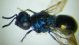 DSCF3139.JPG