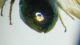 DSCF3143.JPG