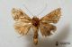 2012Sep27_0871.jpg