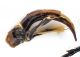 Comb0381_06jcr.jpg