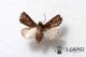 2012Sep27_0867.jpg