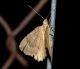 DSC_0172.JPG