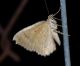DSC_0173.JPG