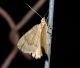 DSC_0174.JPG