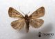 2012Oct08_0147.jpg