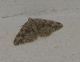 DSC_0185.JPG