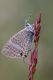 IMG_5130_per-determinazione.jpg