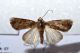 id151012.JPG