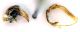 Comb0404_04jcr.jpg