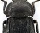 Comb0417_14jcr.jpg