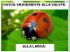 coccinella 2.jpg