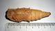 06.C.gaillardoti_pupa.jpg