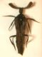 DSCN2349.JPG