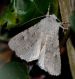 DSC_0642.JPG
