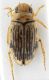 Focus Result 134 (A, 8, 4)-2.jpg