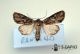 2012Oct26_0129.jpg