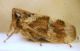 P1170709++.JPG
