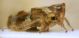 P1170713++.JPG