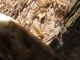 DSCF5693.JPG