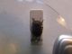 DSCF6429.JPG