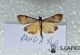 2012Nov05_0026.jpg